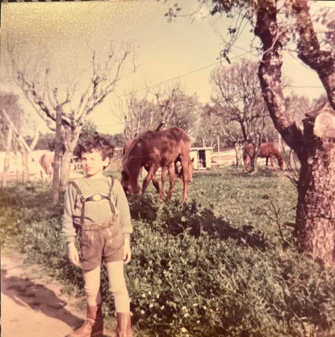 Com os cavalos na Vila Carlota, por volta de 1984