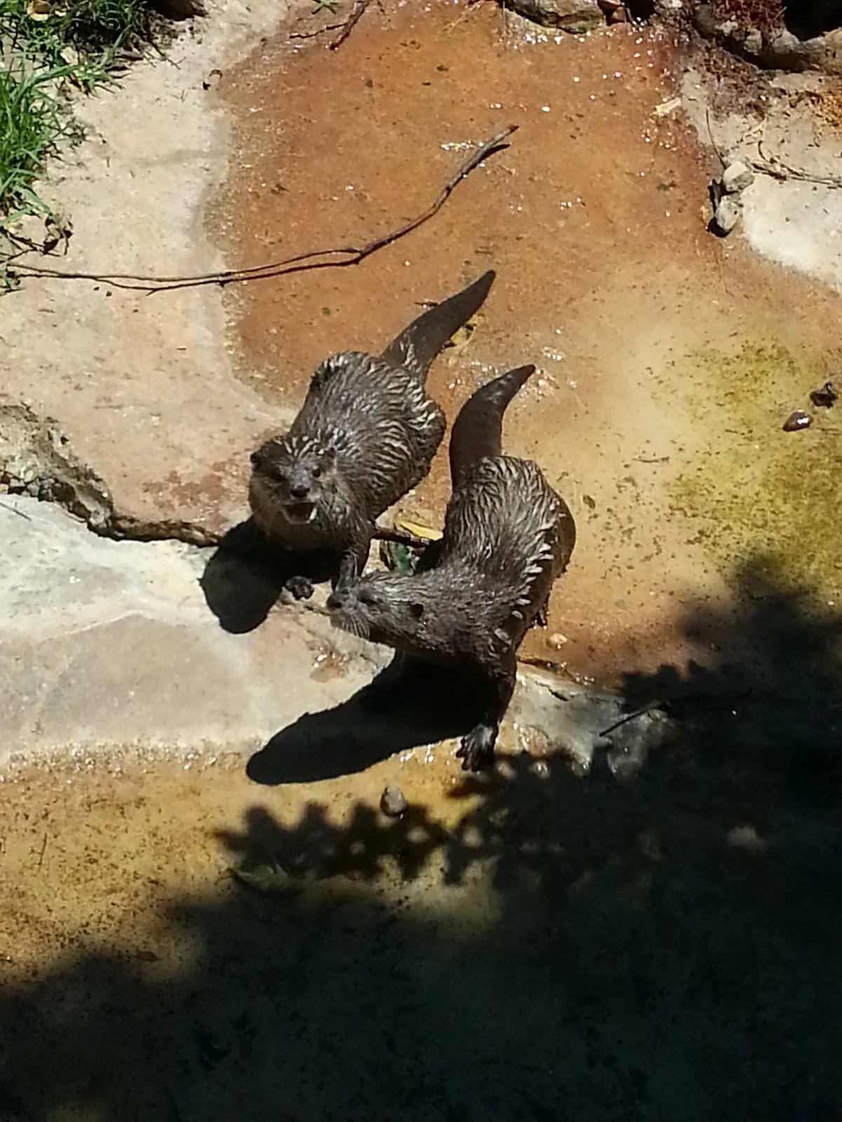 Adelaide, Dezembro de 2012